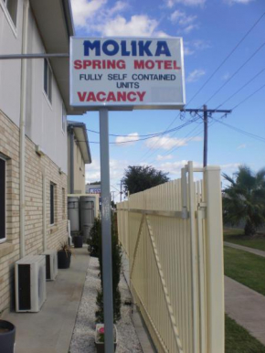 Отель Molika Springs Motel  Мори